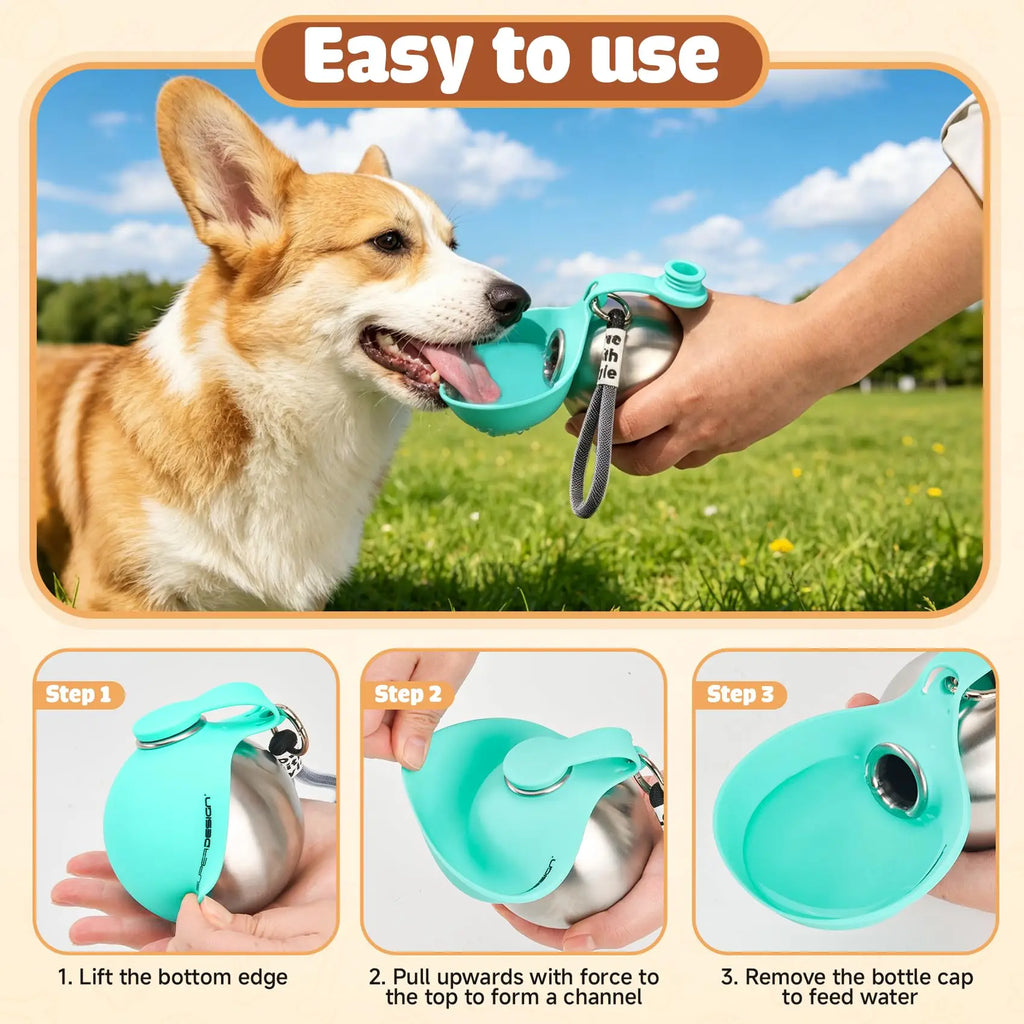 Gourde portable en inox pour chien avec bol en silicone